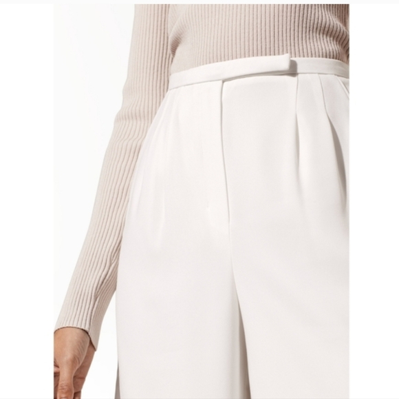 Aritzia Lazarus Pants - Picture 5 of 12